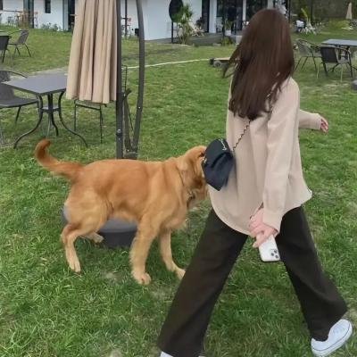 我的如意狼君国语